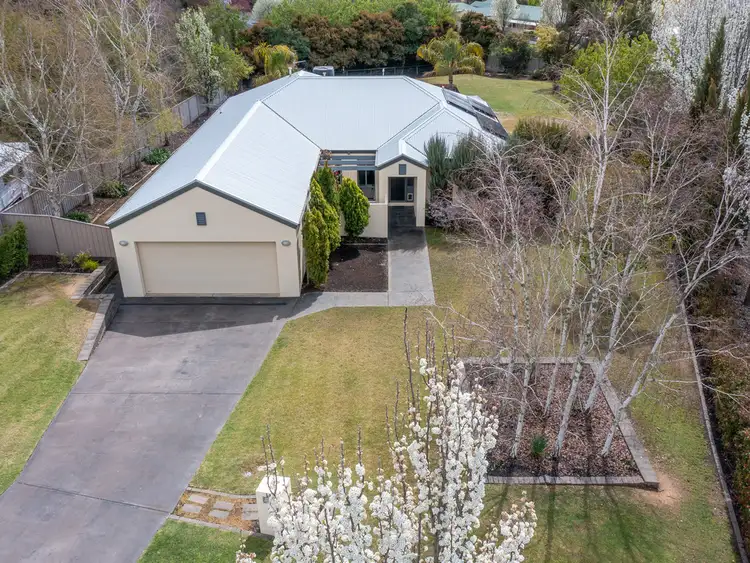 Main view of Homely house listing, 14 Romsey Court, Wodonga VIC 3690