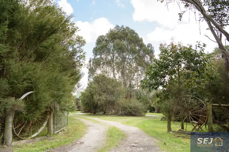 Second view of Homely rural property listing, 59 Zerbes Rd, Buffalo VIC 3958