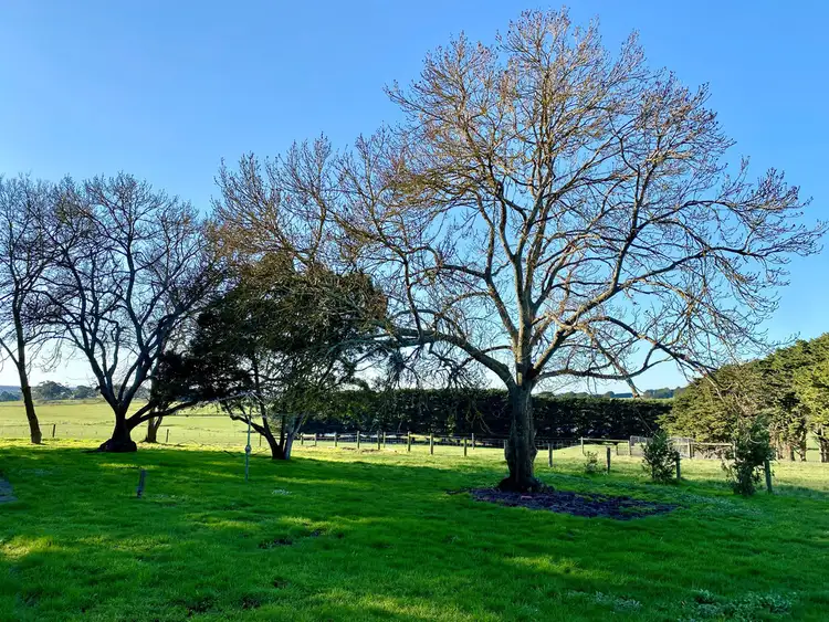 Fourth view of Homely rural property listing, 70 Naroghid School Road, Camperdown VIC 3260