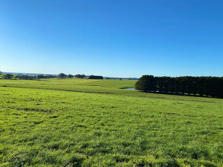 Seventh view of Homely rural property listing, 70 Naroghid School Road, Camperdown VIC 3260