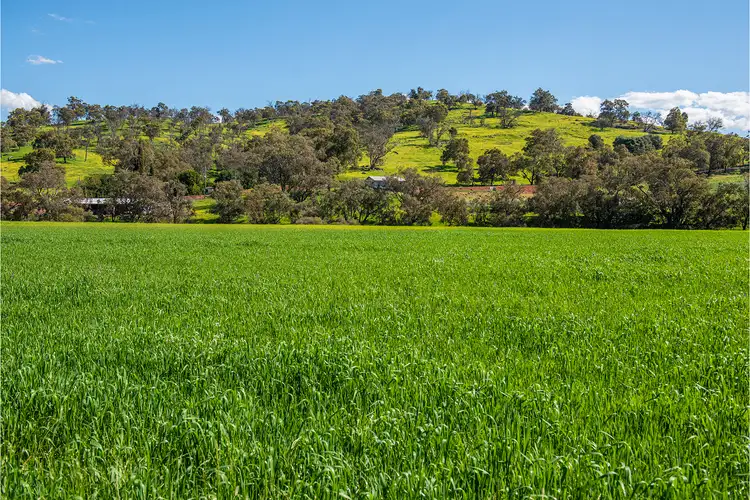 Second view of Homely rural property listing, 545 Chittering Valley Road, Lower Chittering WA 6084