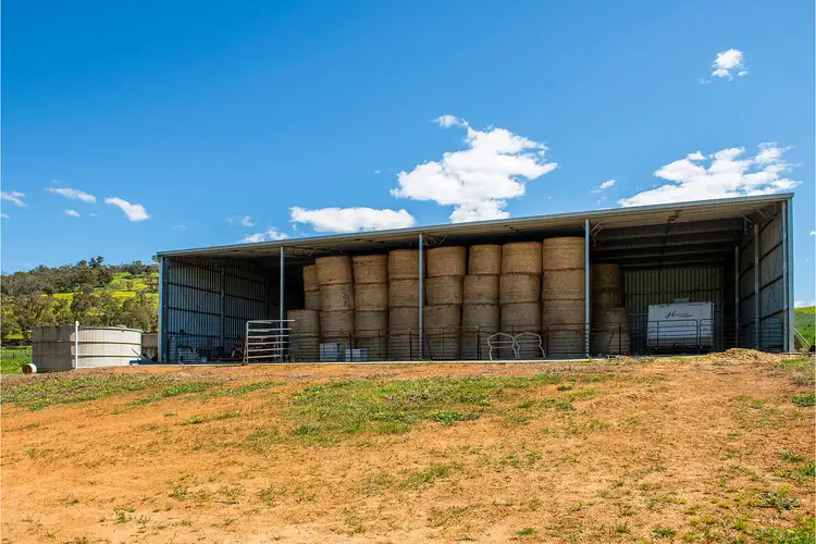 Fifth view of Homely rural property listing, 545 Chittering Valley Road, Lower Chittering WA 6084