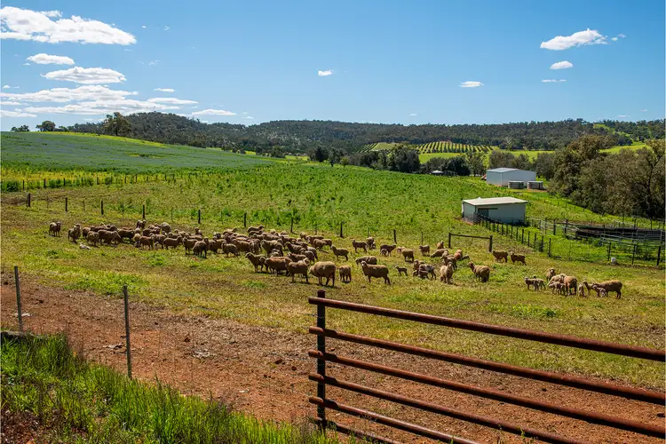 Seventh view of Homely rural property listing, 545 Chittering Valley Road, Lower Chittering WA 6084