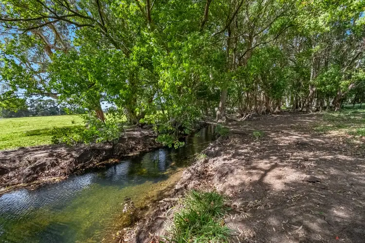 Third view of Homely rural property listing, 207 Martins Lane, Knockrow NSW 2479