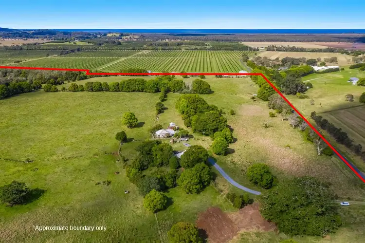Fourth view of Homely rural property listing, 207 Martins Lane, Knockrow NSW 2479