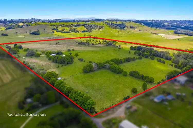 Fifth view of Homely rural property listing, 207 Martins Lane, Knockrow NSW 2479
