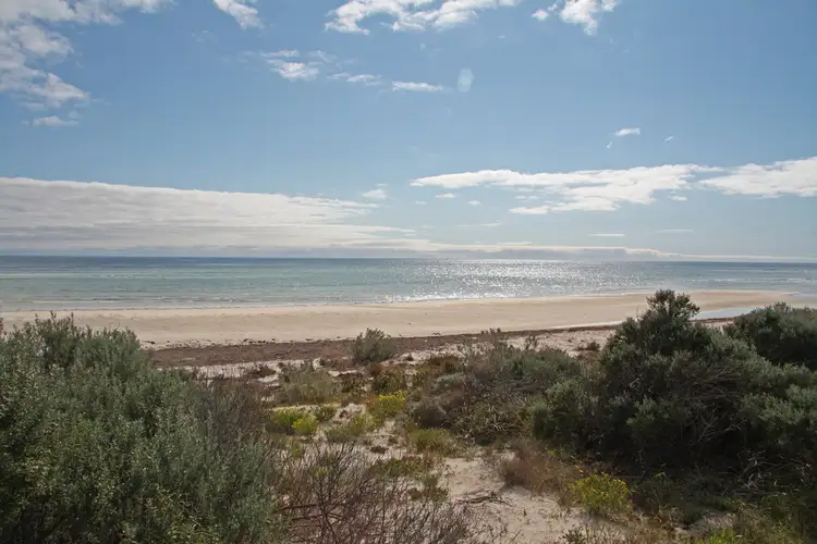 Lots 264 Beegoodye Wells Rd