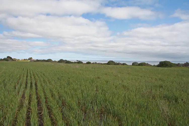 Sixth view of Homely land listing, Lots 264 Beegoodye Wells Rd, Hardwicke Bay SA 5575