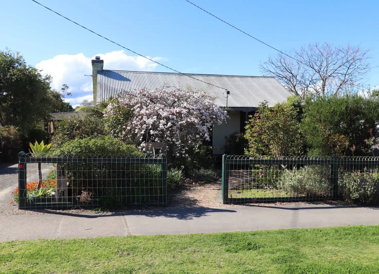 Main view of Homely house listing, 41 SALISBURY STREET, Orbost VIC 3888