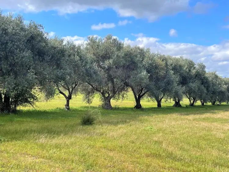 Seventh view of Homely land listing, 1640 Ash Road, Chidlow WA 6556