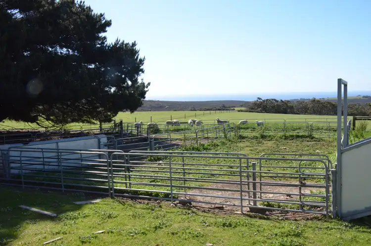 Third view of Homely rural property listing, Lot 142 HUMMOCKY ROAD, Cassini SA 5223