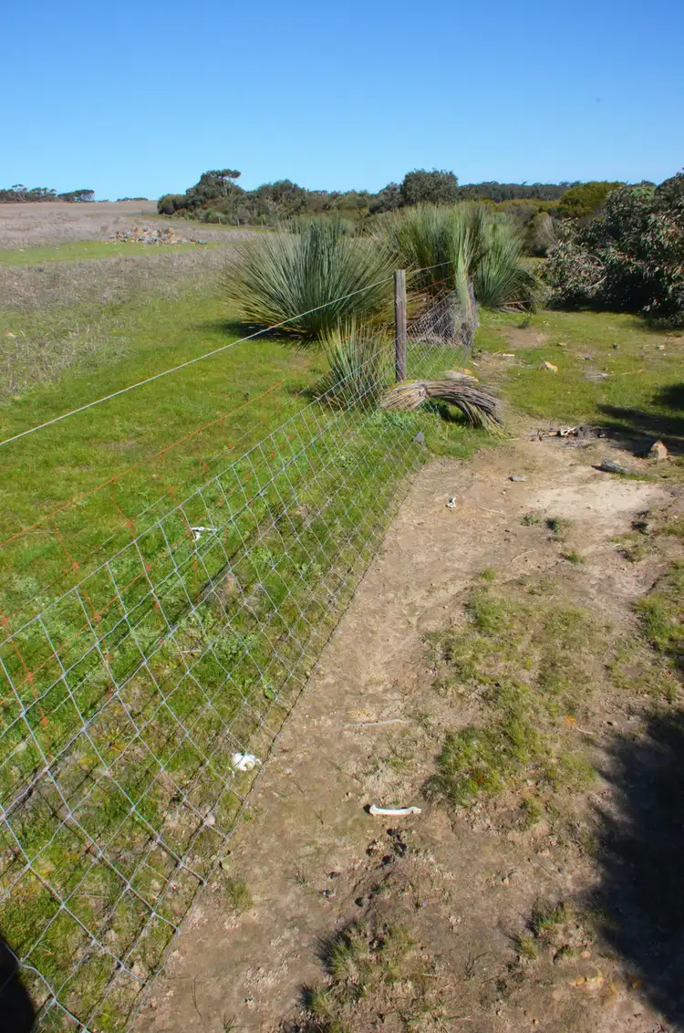Seventh view of Homely rural property listing, Lot 142 HUMMOCKY ROAD, Cassini SA 5223