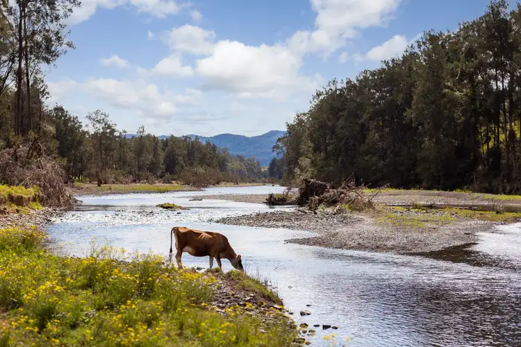 Main view of Homely rural property listing, 5114 Oxley Highway, Long Flat NSW 2446