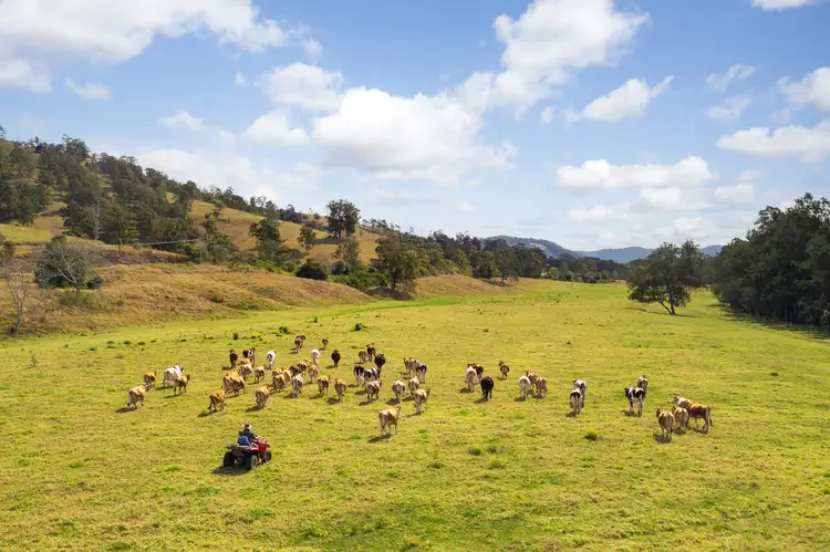 Fourth view of Homely rural property listing, 5114 Oxley Highway, Long Flat NSW 2446
