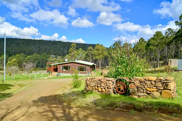 Main view of Homely house listing, 222 Mill Road, Nugent TAS 7172