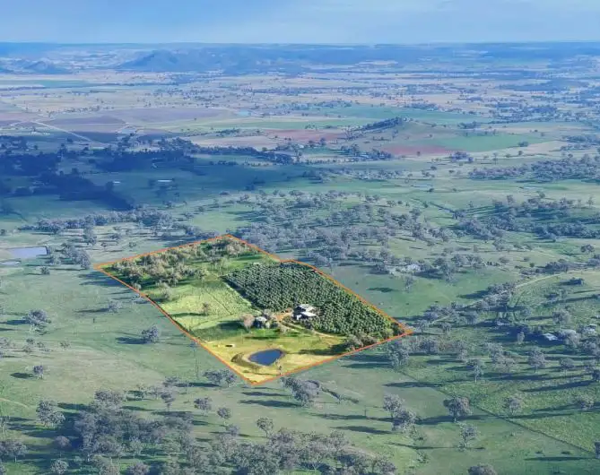Main view of Homely rural property listing, 118 Hillside Lane, Gulgong NSW 2852