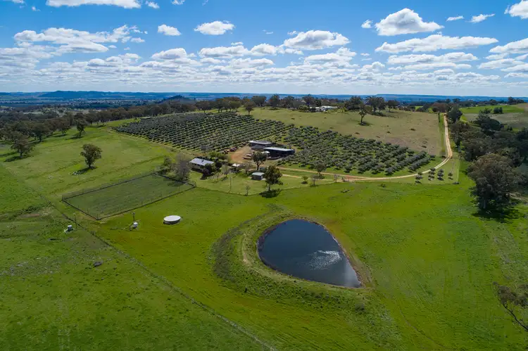 Second view of Homely rural property listing, 118 Hillside Lane, Gulgong NSW 2852
