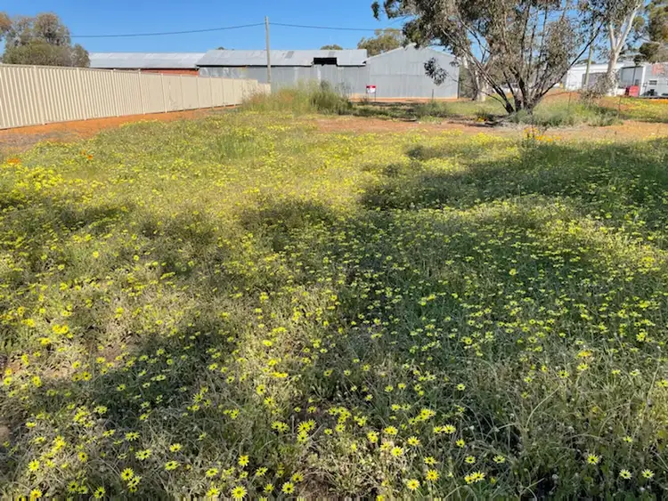 Second view of Homely land listing, 57 AVON STREET, Quairading WA 6383
