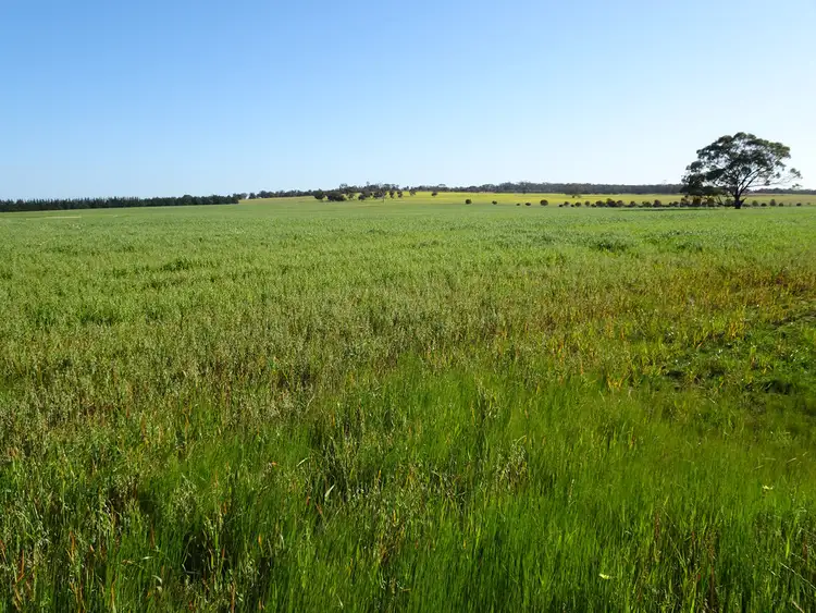 Third view of Homely rural property listing, Lot 4532 River Tarn Road, Piesseville WA 6315
