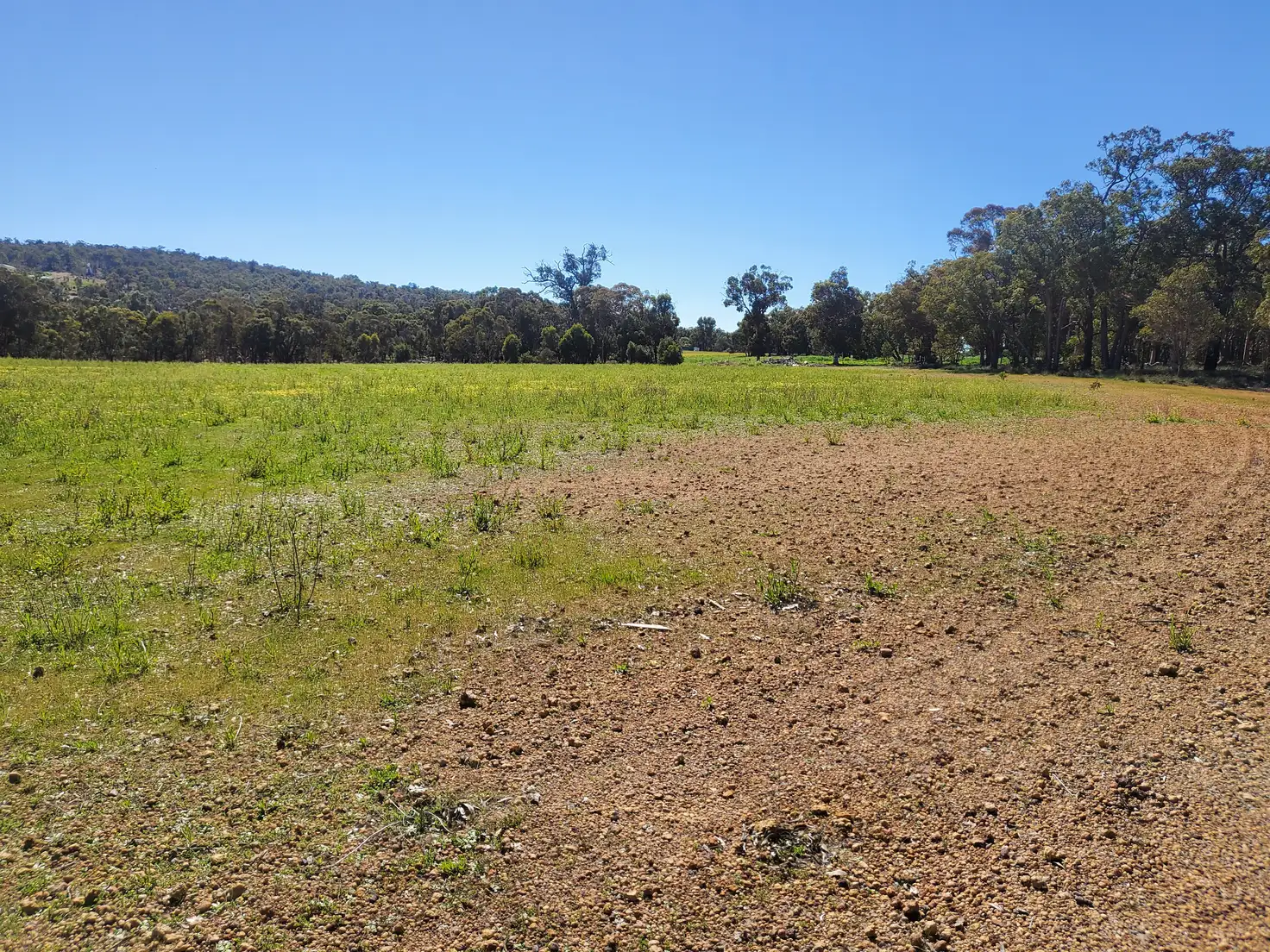 Main view of Homely land listing, 116 McNamara Road, Wundowie WA 6560