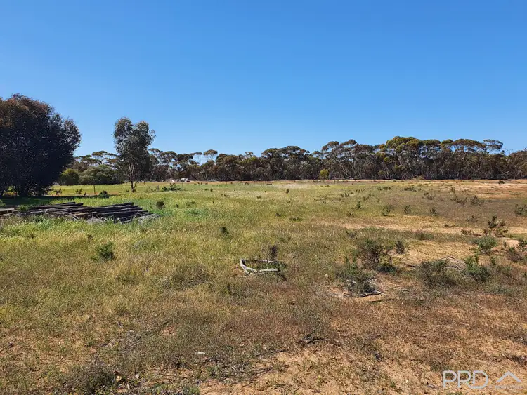 Third view of Homely land listing, 37-39 Sharrock Street, Murrayville VIC 3512