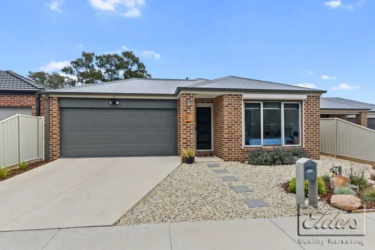 Main view of Homely house listing, 53 Sullivan Street, Ascot VIC 3551