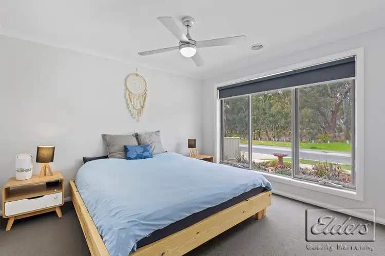 Sixth view of Homely house listing, 53 Sullivan Street, Ascot VIC 3551