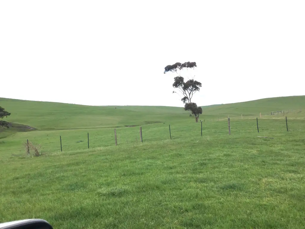 Main view of Homely rural property listing, 276 Nolans Road, Henty VIC 3312