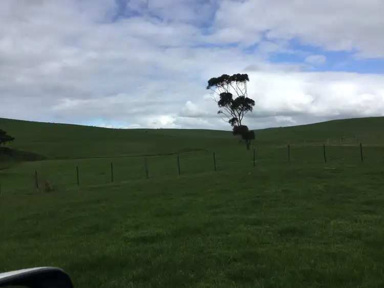 Third view of Homely rural property listing, 276 Nolans Road, Henty VIC 3312