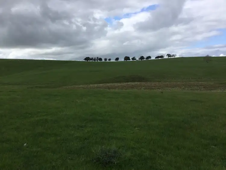 Fourth view of Homely rural property listing, 276 Nolans Road, Henty VIC 3312