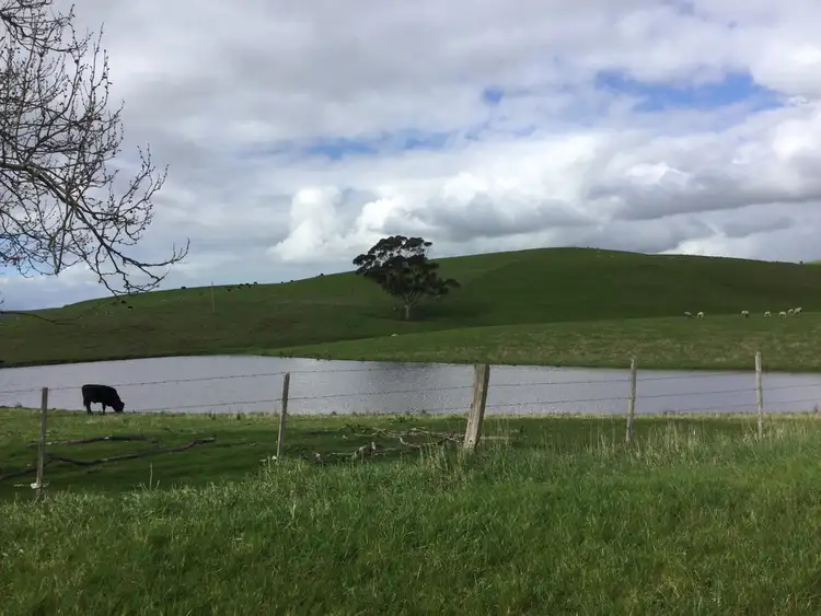 Fifth view of Homely rural property listing, 276 Nolans Road, Henty VIC 3312