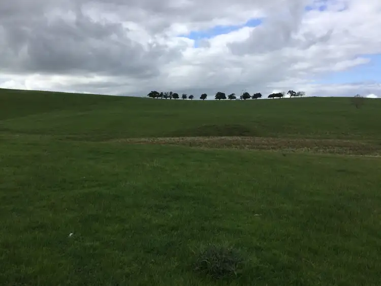 Sixth view of Homely rural property listing, 276 Nolans Road, Henty VIC 3312