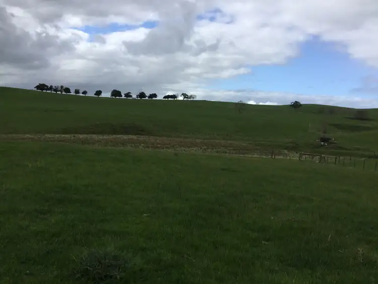 Seventh view of Homely rural property listing, 276 Nolans Road, Henty VIC 3312