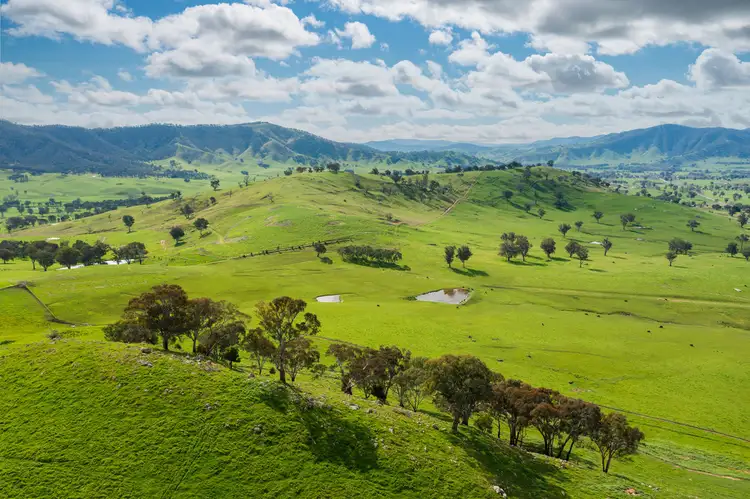 Second view of Homely rural property listing, 1985 Cudgewa Bluff Road, Walwa VIC 3709