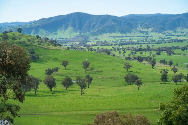 Third view of Homely rural property listing, 1985 Cudgewa Bluff Road, Walwa VIC 3709