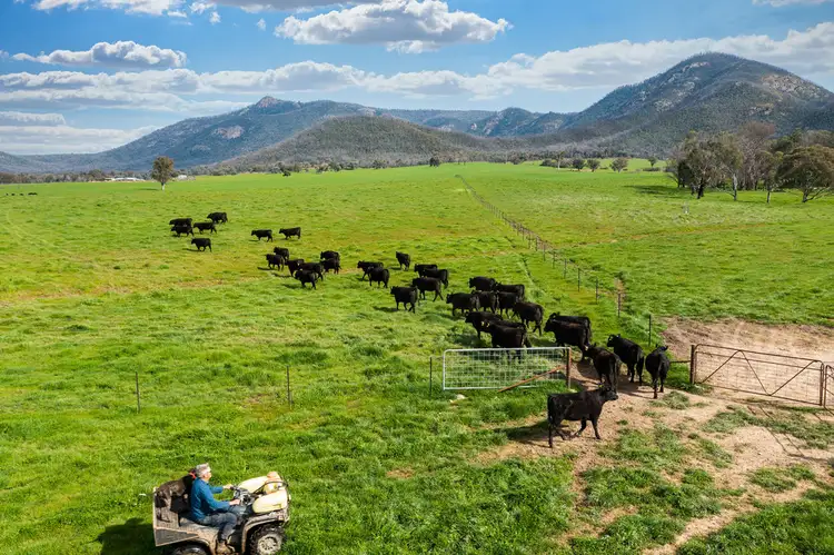 Fourth view of Homely rural property listing, 1985 Cudgewa Bluff Road, Walwa VIC 3709