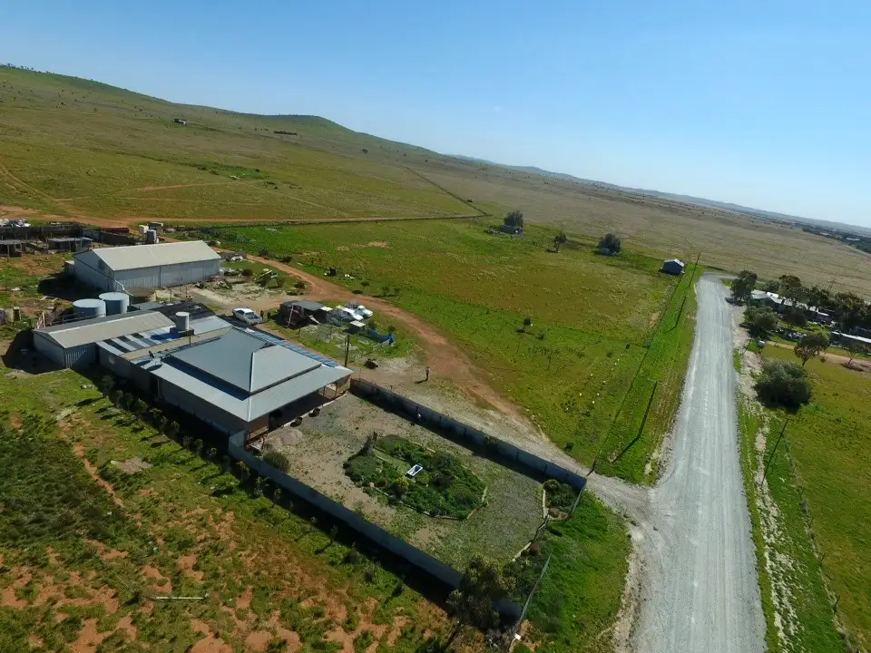 Main view of Homely rural property listing, 28 HOSKIN STREET, Terowie SA 5421