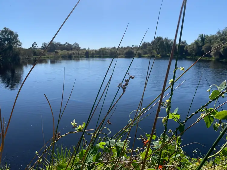 Main view of Homely rural property listing, Lot 110 Brilliant Road, Capel WA 6271