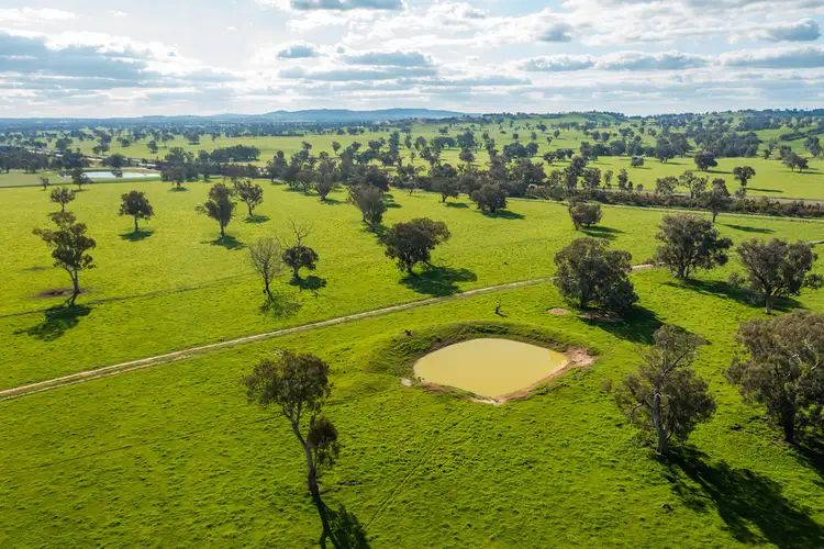 Seventh view of Homely rural property listing, Address available on request