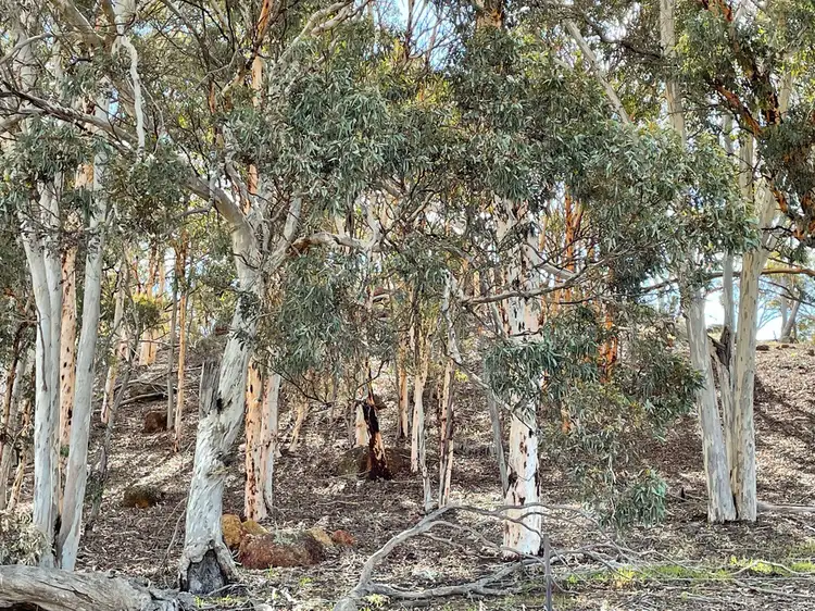 Third view of Homely house listing, 453 BARTRAM ROAD, Jelcobine WA 6306