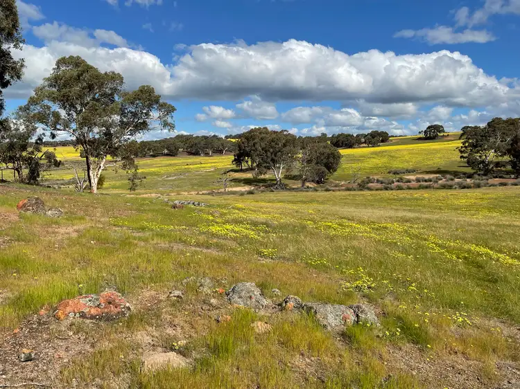 Fifth view of Homely house listing, 453 BARTRAM ROAD, Jelcobine WA 6306