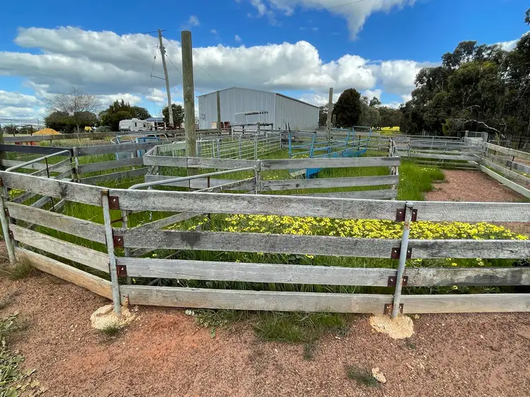 Seventh view of Homely house listing, 453 BARTRAM ROAD, Jelcobine WA 6306