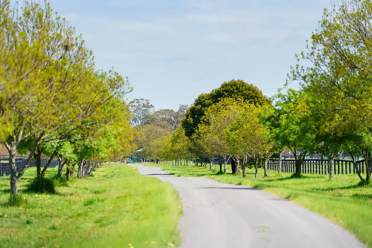 Fourth view of Homely rural property listing, Address available on request