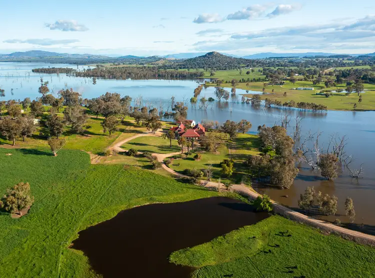 Second view of Homely rural property listing, 115 Burma Road, Table Top NSW 2640