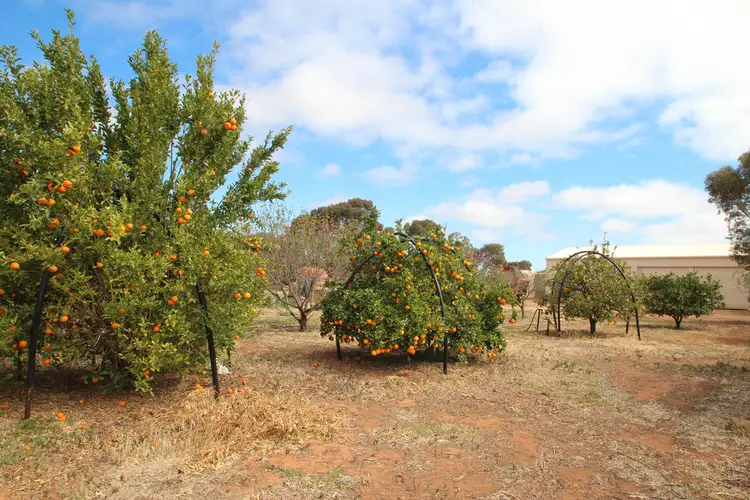 Second view of Homely rural property listing, 12 Gum Tree Drive, Risdon Park South SA 5540