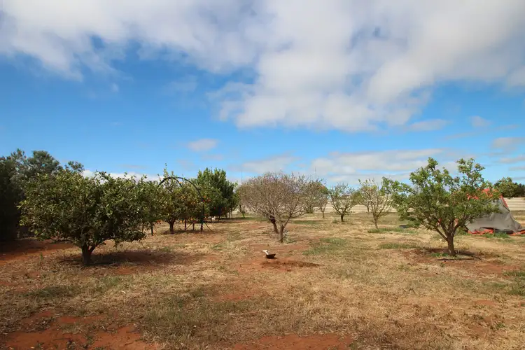 Third view of Homely rural property listing, 12 Gum Tree Drive, Risdon Park South SA 5540
