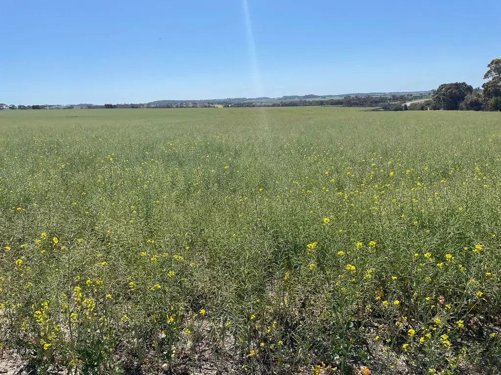 Main view of Homely rural property listing, Lot 150 Mawson Road, Beverley WA 6304