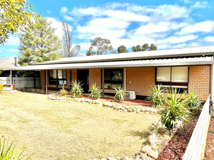 2 Bartley Street, Wudinna SA 5652