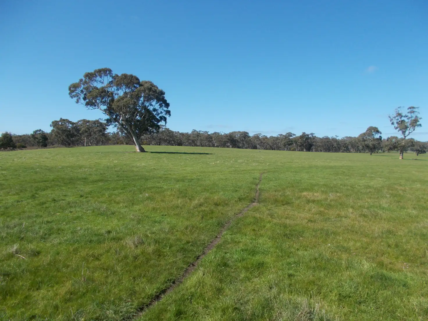 Main view of Homely rural property listing, Address available on request