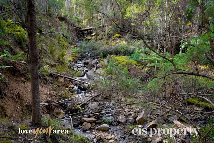 Fifth view of Homely house listing, 1089 Halls Track Road, Pelverata TAS 7150